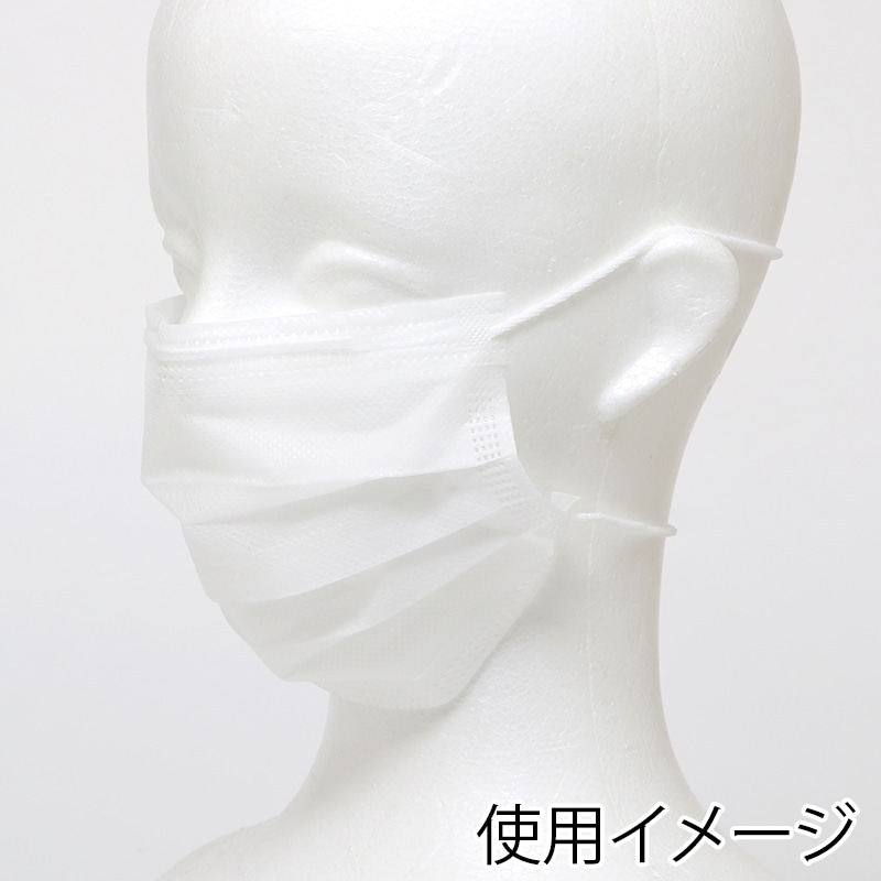 エブノ 不織布マスク プリートマスク40 2PLY オーバヘッド 1箱(100枚)