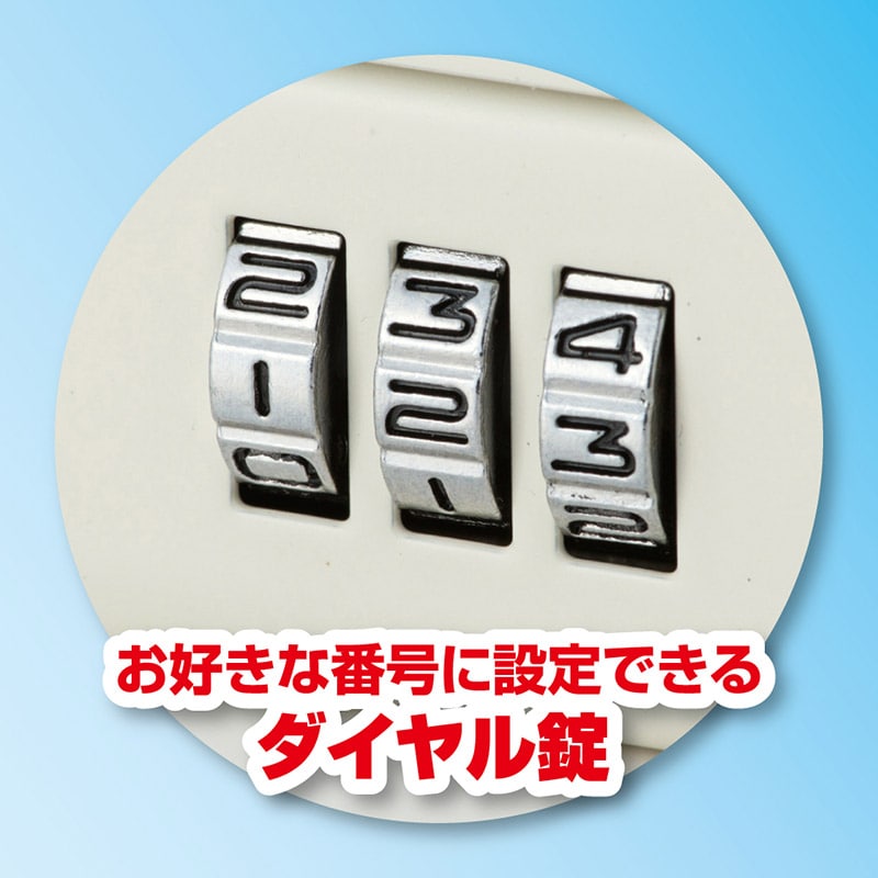 アスカ 安心保管ボックス A5 SB100 1台(ご注文単位1台)【直送品】