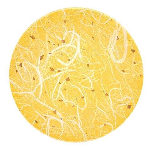 福井クラフト 耐熱φ150寿司皿 雲竜イエロー 12043010 1個（ご注文単位1個）【直送品】