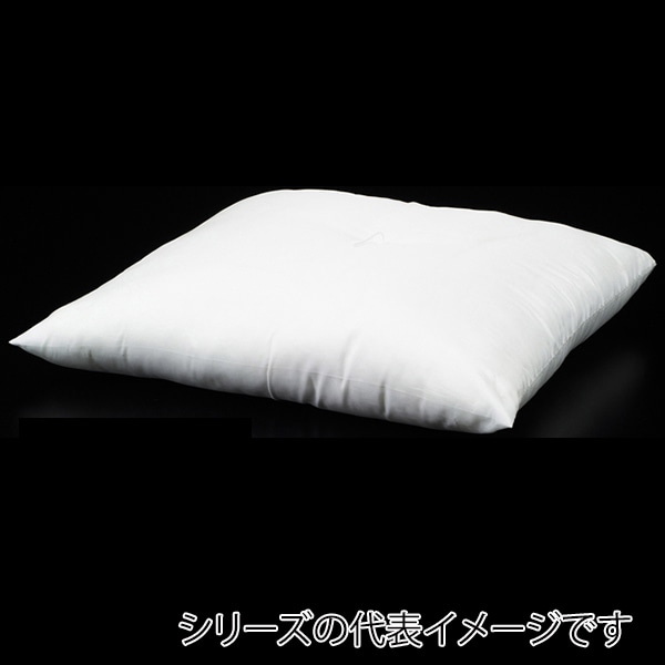 福井クラフト 座布団　中身 EG綿ミックス　50角用 80518080 1枚（ご注文単位1枚）【直送品】