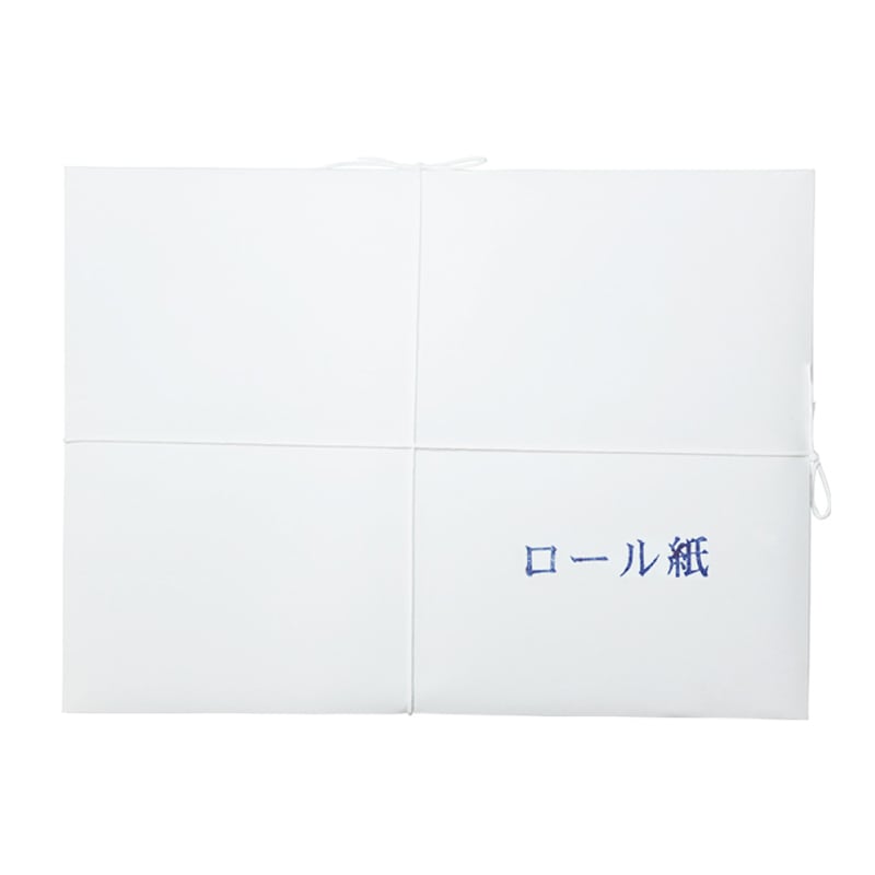 スギウラ 仮名用半紙 ロール紙 1000枚 AB1953 1箱（ご注文単位1箱）【直送品】