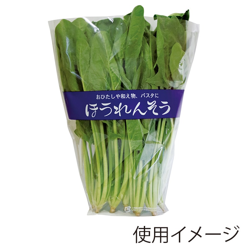 精工 ボードンパック 鮮度保持パック ほうれんそう三角袋 100枚/袋(ご注文単位50袋)【直送品】
