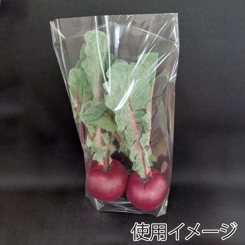 精工 ボードンパック　PH有孔規格袋 10号  100枚/袋（ご注文単位50袋）【直送品】