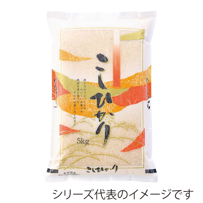 マルタカ 米袋 雲龍和紙 フレブレス こしひかり 錦10kg MK0840 500枚/箱(ご注文単位1箱)【直送品】