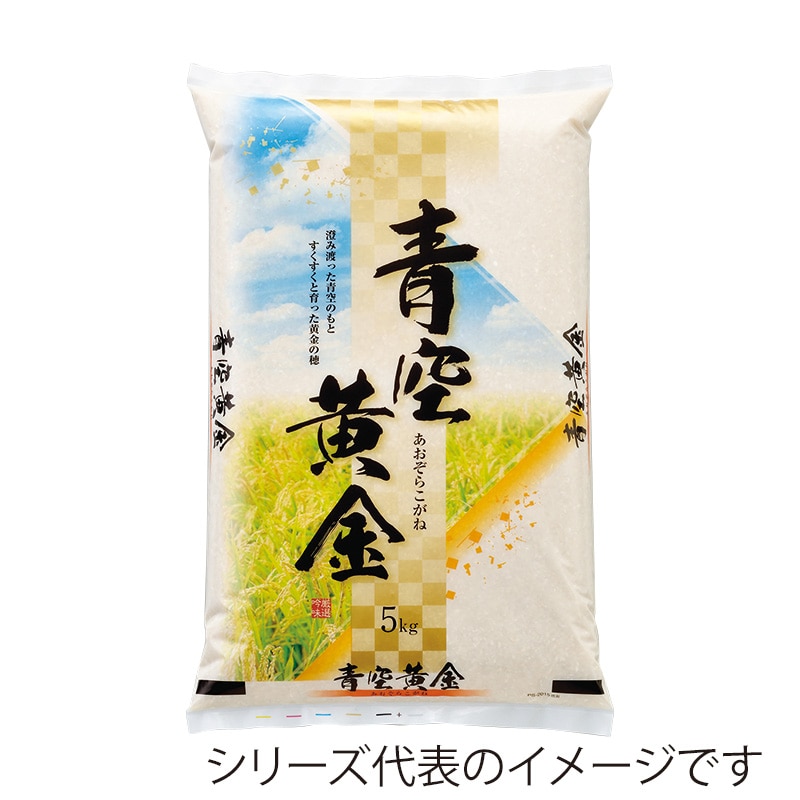 マルタカ 米袋 ポリ ストライトDX 青空黄金 10kg PS2015 500枚/箱(ご注文単位1箱)【直送品】