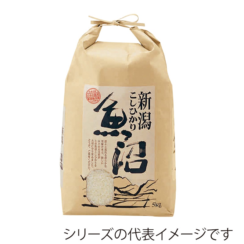 マルタカ 米袋　紐付クラフト 新潟県魚沼産こしひかり 光雪　窓あり　10kg KH0170 300枚/箱（ご注文単位1箱）【直送品】
