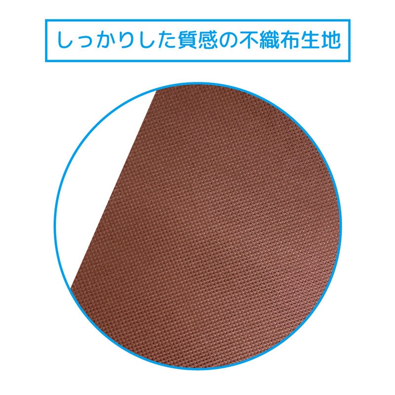 エスパック 不織布リボン付ギフトバッグ SS ブラウン 10枚/袋（ご注文単位1袋)【直送品】