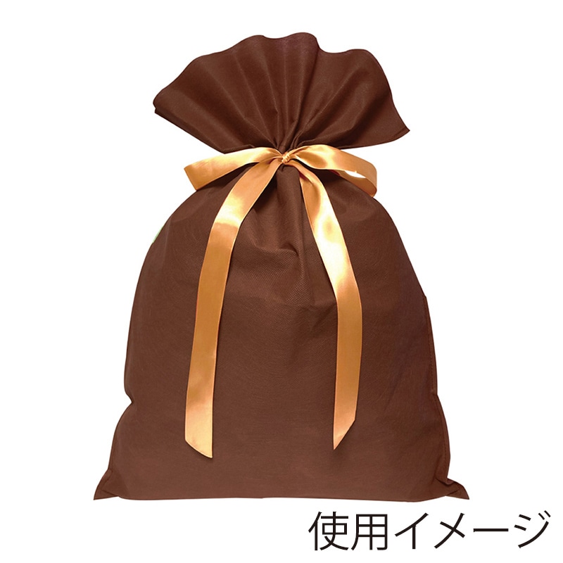 エスパック 不織布リボン付ギフトバッグ LL ブラウン 10枚/袋（ご注文単位1袋)【直送品】