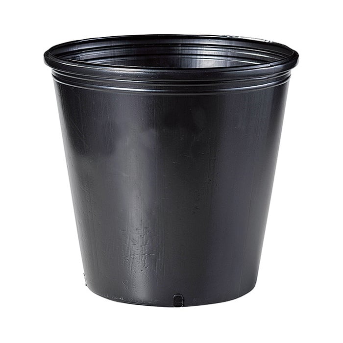 東海化成 つかめるポット 穴無 黒丸 24.0cm 100個/袋(ご注文単位1袋)【直送品】