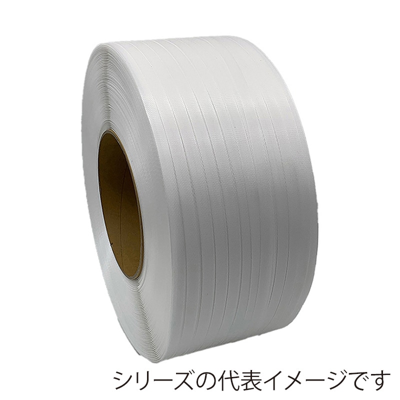 グリーンプラ PPバンド ショウデンバンド DH15 白 2巻セット 15mm×2500m 1セット（ご注文単位1セット）【直送品】