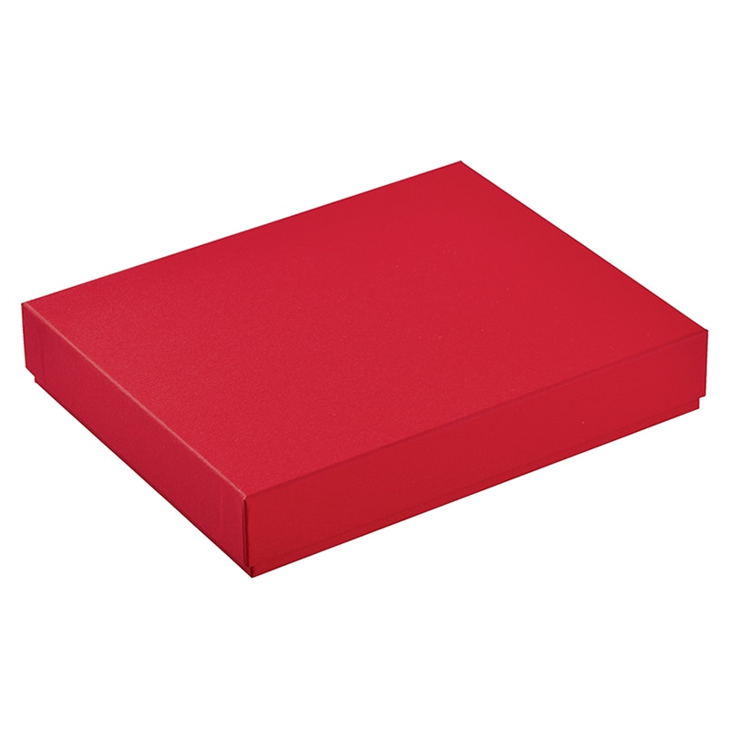 フェザーケース　20仕切 レッド 1269 1個（ご注文単位60個）【直送品】