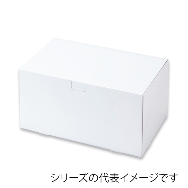 柳井紙工 ノエルカートン　105 10×15 22021 25枚/束（ご注文単位16束）【直送品】