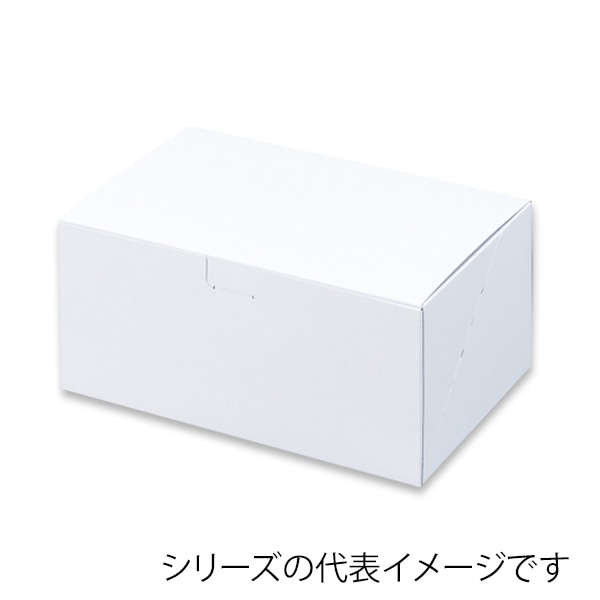 柳井紙工 ノエルカートン 4 21904 25枚/束（ご注文単位8束）【直送品】