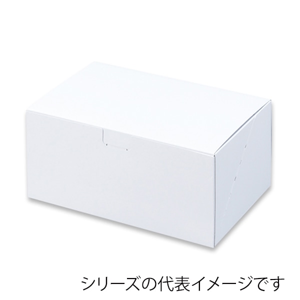 柳井紙工 ノエルカートン 10 21910 25枚/束（ご注文単位4束）【直送品】