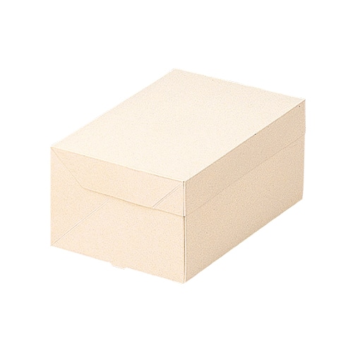 PCエコBOX 3号 1-004-73　50枚/包（ご注文単位4包）【直送品】