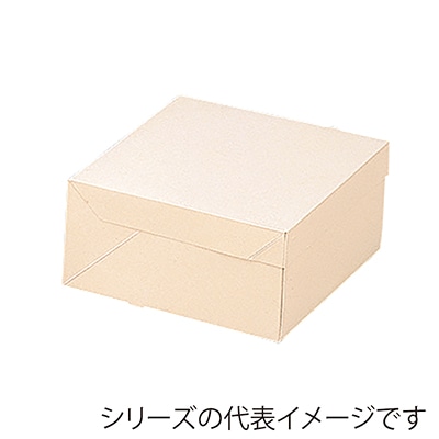 PCエコポケット付デコ箱 66号 1-004-83 100枚/袋(ご注文単位1袋)【直送品】