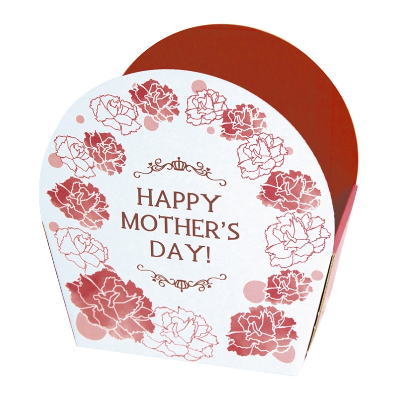 ヤマニパッケージ イベントケース 母の日 20-665 100セット/箱(ご注文単位1箱)【直送品】