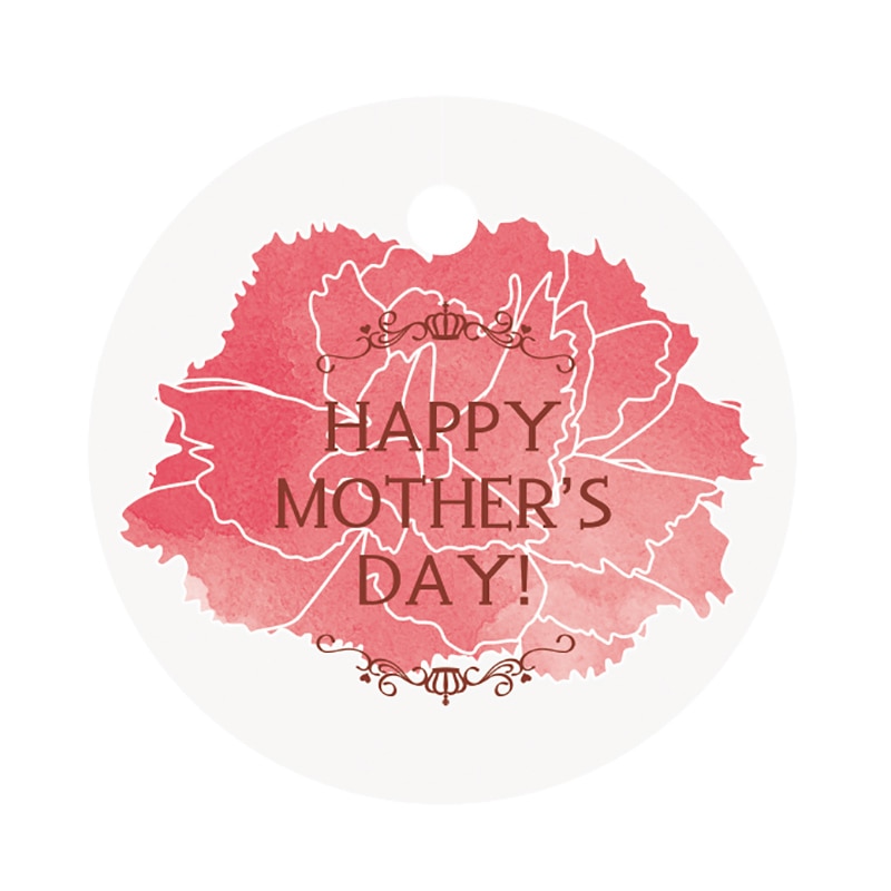 ヤマニパッケージ イベントケース 母の日 20-665 100セット/箱(ご注文単位1箱)【直送品】