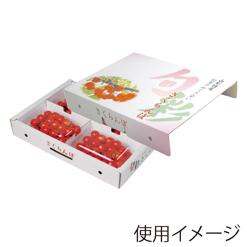 ギフト箱 旬彩ドオム 200g×4P ARL-33 50枚/束(ご注文単位1束)【直送品】