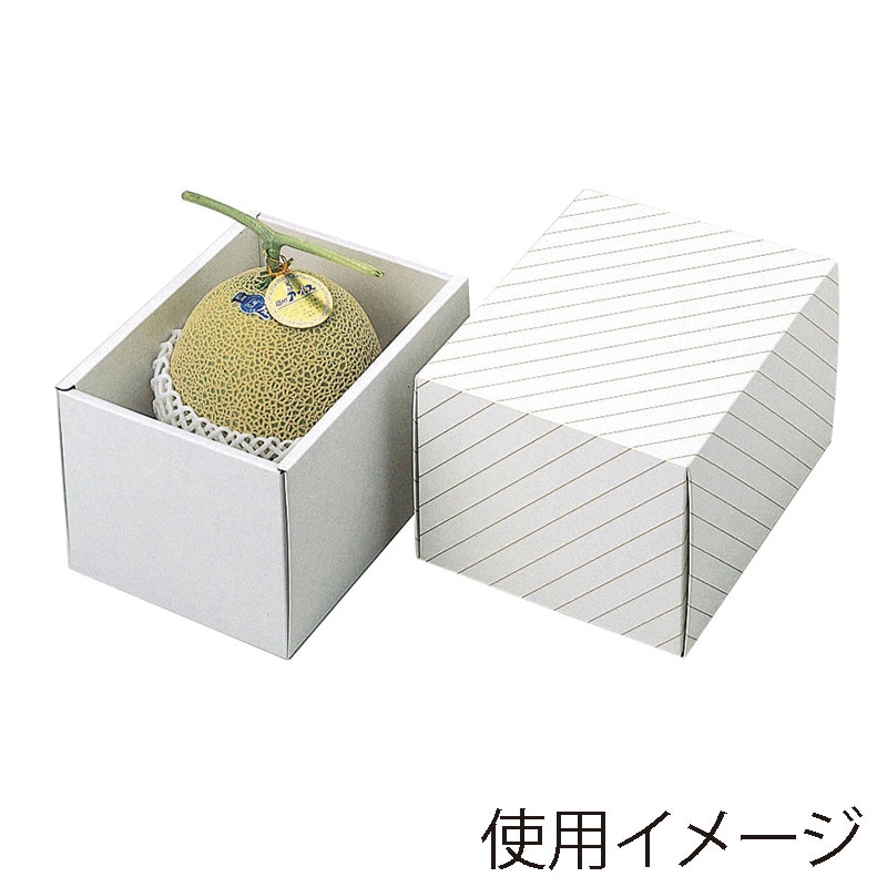 ギフト箱 メロン深口 1ヶ入 L-158 50枚/束(ご注文単位1束)【直送品】
