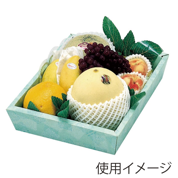 サービス箱 Vニュース 大 L-223 10枚/束(ご注文単位10束)【直送品】