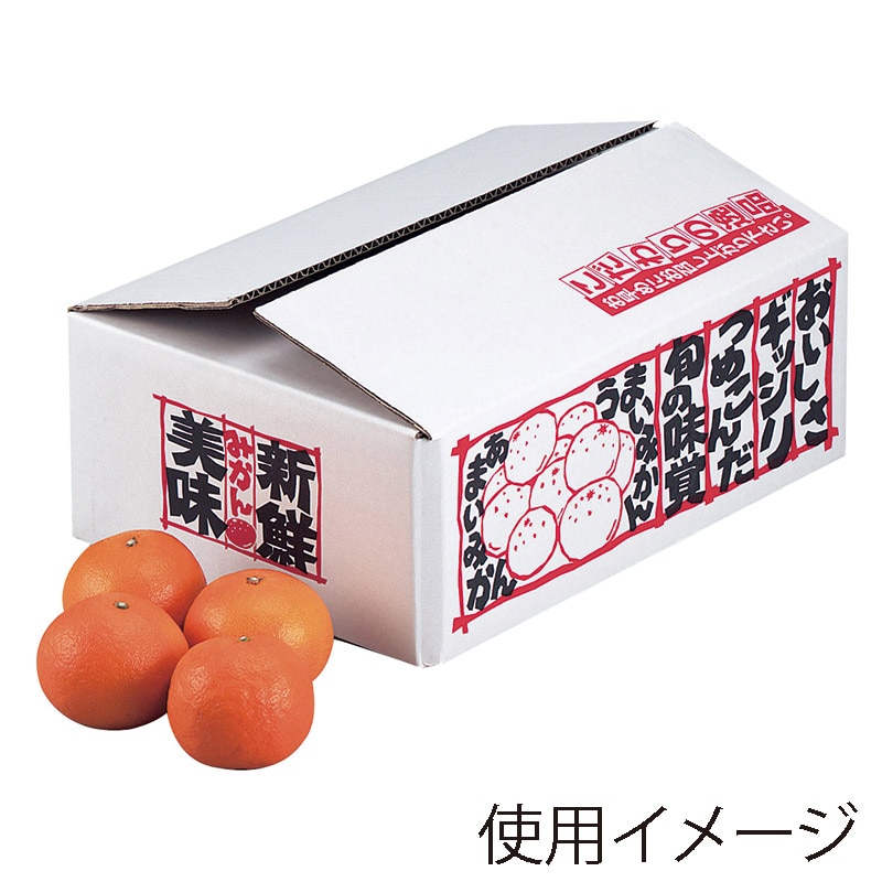 ギフト箱　新鮮みかん 5kg L-426 10枚/束（ご注文単位6束）【直送品】