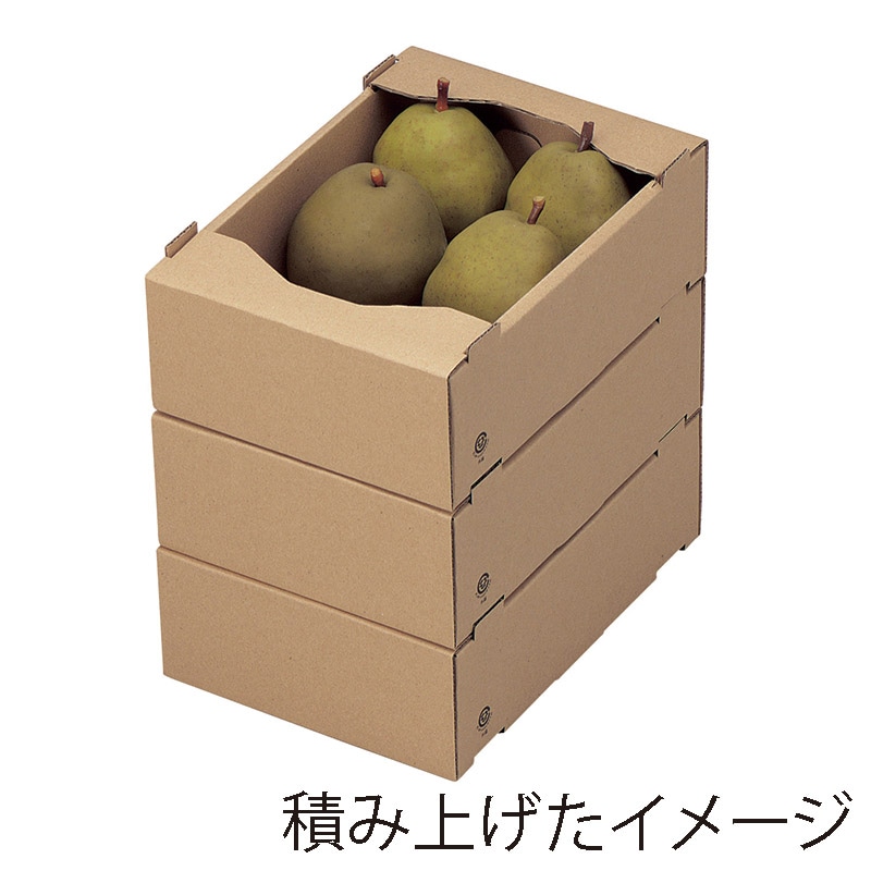 サービス箱　C5 中 L-470 25枚/束（ご注文単位4束）【直送品】