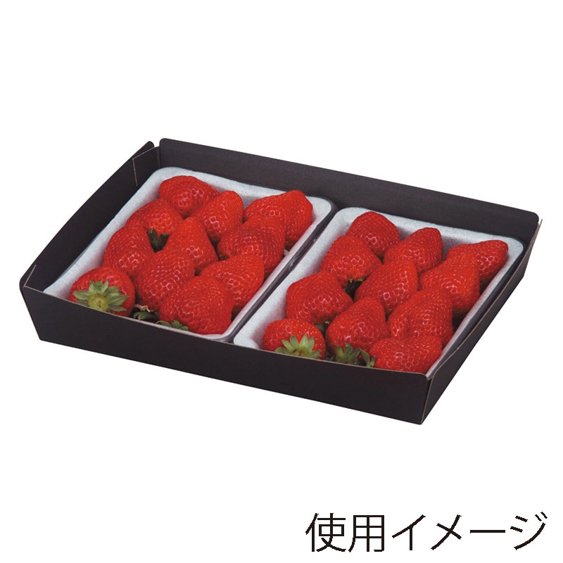 いちごパック用ミニ段黒トレー 2P浅型 L-2133 20枚/袋（ご注文単位15袋）【直送品】