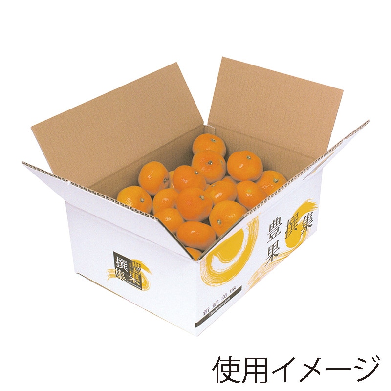 ギフト箱 豊果撰集 5kg L-2157 10枚/束(ご注文単位6束)【直送品】