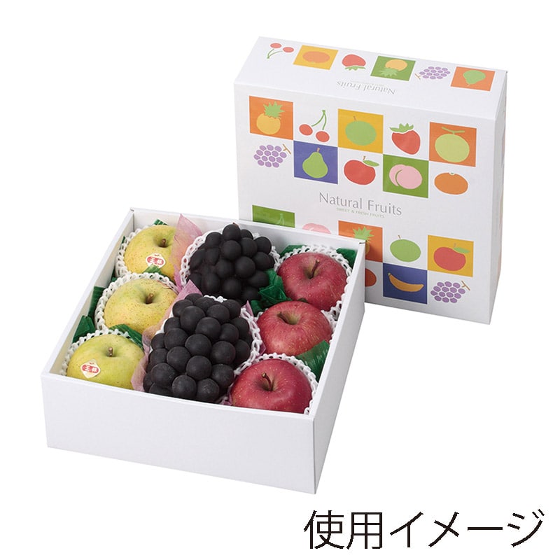 ギフト箱 ナチュラルフルーツ 290角 L-2253 10枚/束(ご注文単位5束)【直送品】
