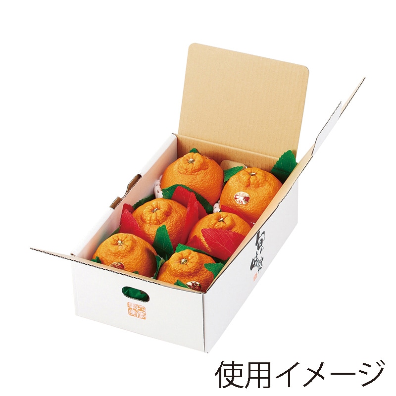 ギフト箱 四季果実 ミニ L-2273 10枚/束(ご注文単位5束)【直送品】