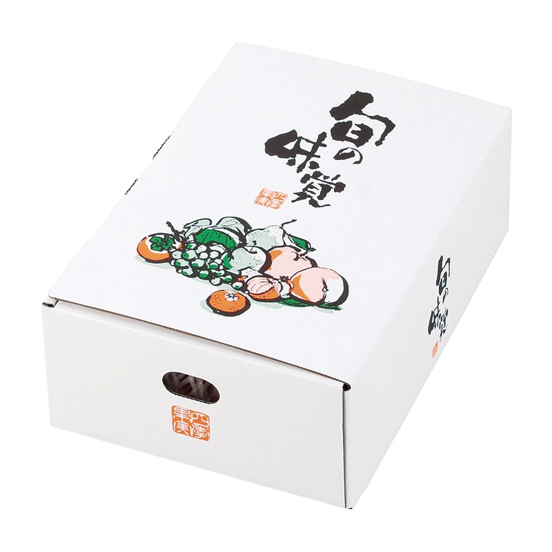 ギフト箱 四季果実 小 L-2274 10枚/束(ご注文単位5束)【直送品】