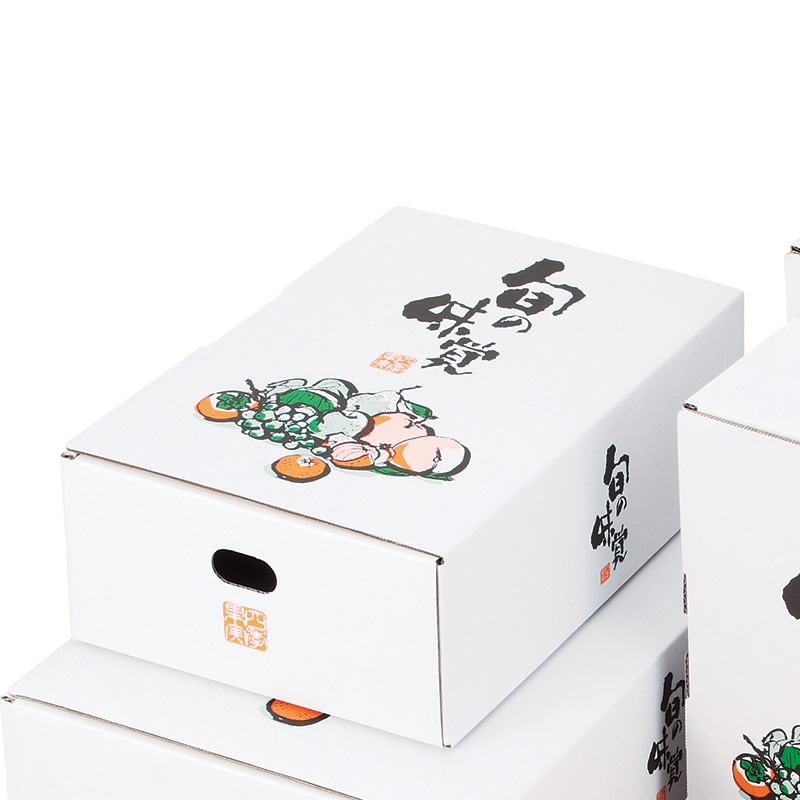 ギフト箱 四季果実 中 L-2275 10枚/束(ご注文単位5束)【直送品】