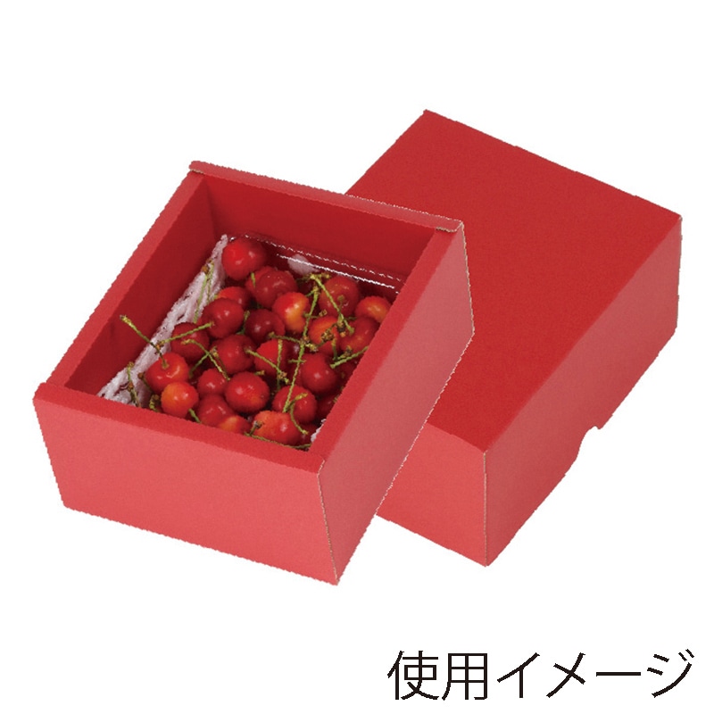 フルーツトレー　500g　1P 赤 L-2420 50枚/束（ご注文単位2束）【直送品】