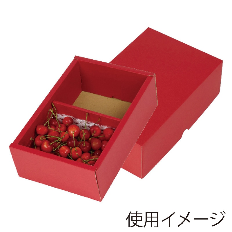フルーツトレー　500g　2P 赤 L-2424 30枚/束（ご注文単位2束）【直送品】