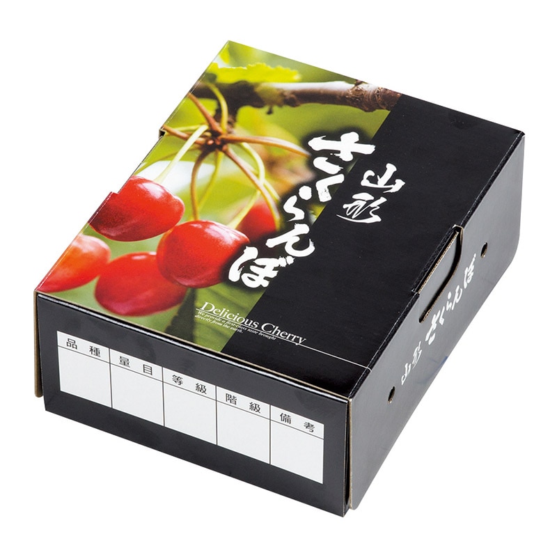 ギフト箱　さくらんぼ　山形 M L-2457 50枚/束（ご注文単位2束）【直送品】