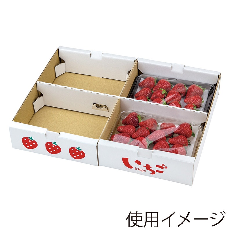 ギフト箱 イラストいちご平詰め 250g4P セパレート L-2514 20枚/束(ご注文単位4束)【直送品】