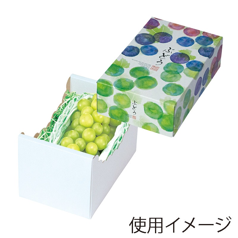 ギフト箱 彩りぶどう オープンギフト 小 L-2523 20枚/束(ご注文単位5束)【直送品】