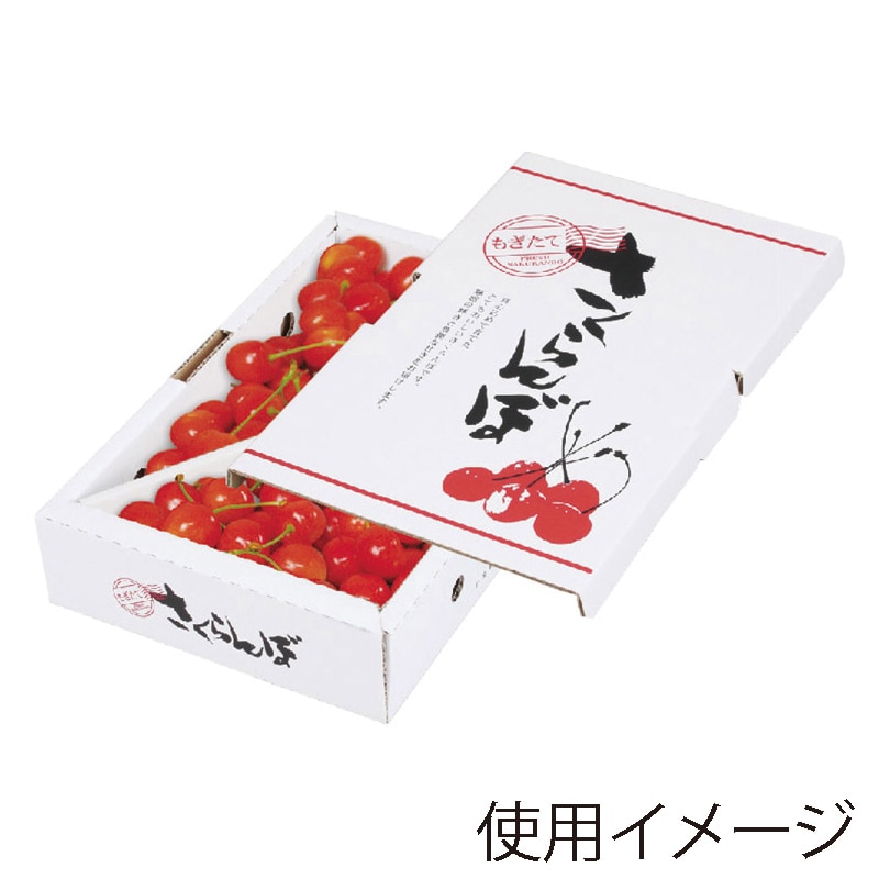 ギフト箱 さくらんぼバラ詰 1kg L-8104 25枚/束(ご注文単位4束)【直送品】