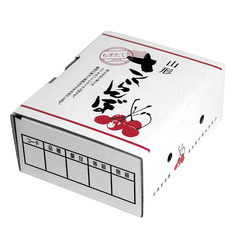 ギフト箱 さくらんぼパック1 山形 フレキソ L-8117 25枚/束(ご注文単位8束)【直送品】