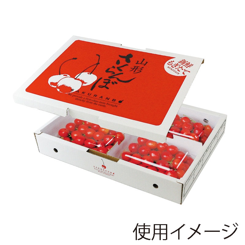 ギフト箱 さくらんぼ 200g×4P L-8130 50枚/束(ご注文単位1束)【直送品】