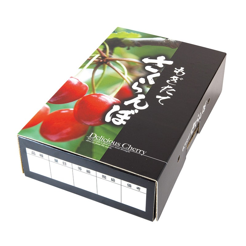 ギフト箱 もぎたてさくらんぼ 深型 BK L-8131 50枚/束(ご注文単位2束)【直送品】