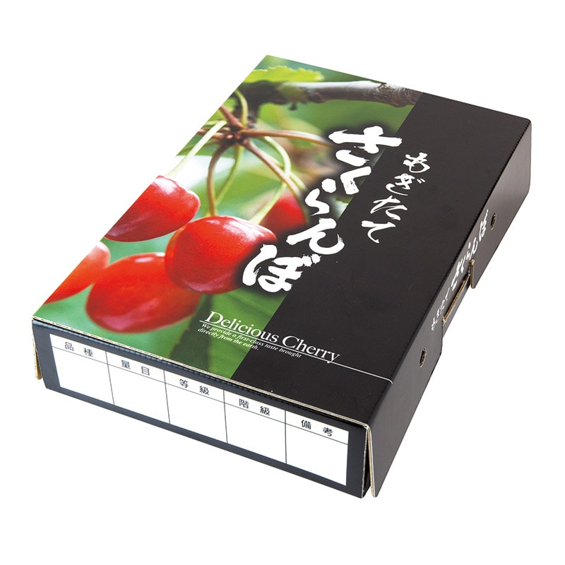 ギフト箱　もぎたてさくらんぼ 浅型　BK L-8133 50枚/束（ご注文単位2束）【直送品】