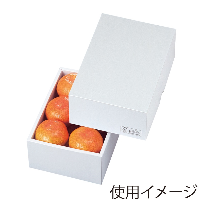 ギフト箱　パールFS 17 LTO-17FS 25枚/束（ご注文単位4束）【直送品】