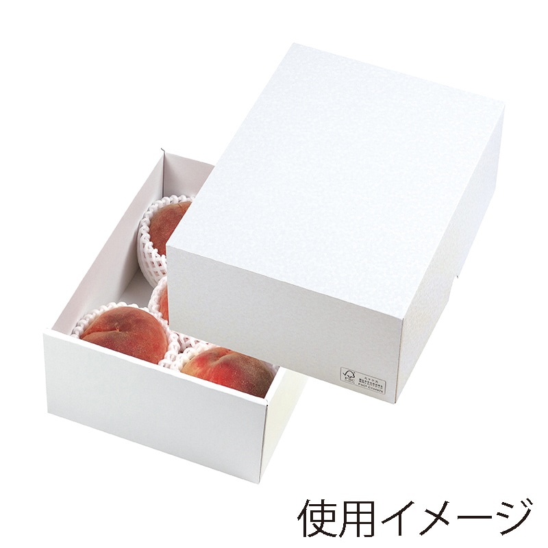 ギフト箱　パールFS 24 LTO-24FS 25枚/束（ご注文単位2束）【直送品】