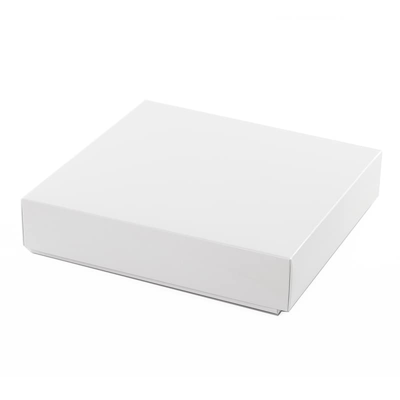 パッケージ中澤 焼菓子ギフト箱 レモン ホワイト 10号 B13220 100枚/箱（ご注文単位1箱）【直送品】