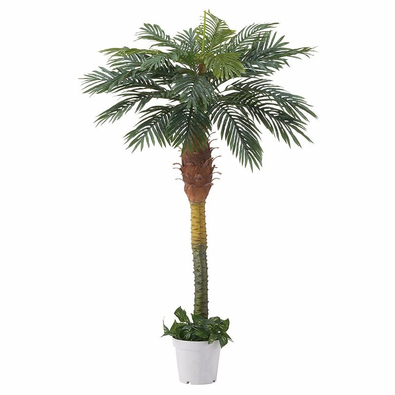 ストア・エキスプレス 人工樹木 デラックスパームツリー H180cm 61-428-25-1 1台(ご注文単位1台)【直送品】