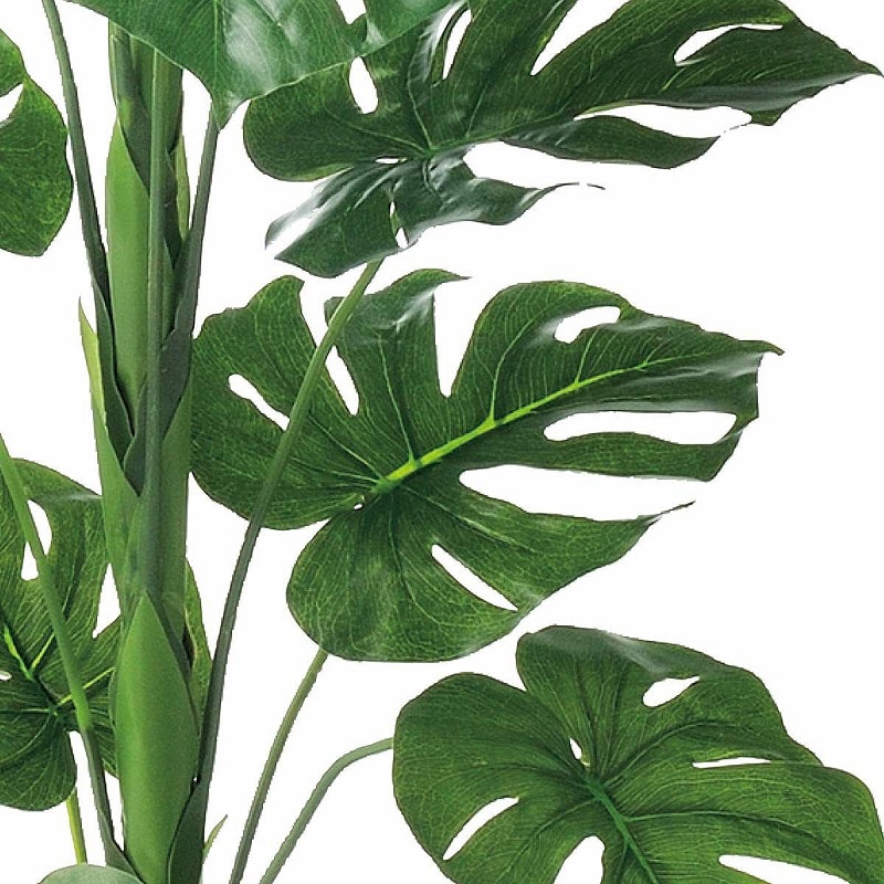 ストア・エキスプレス 人工樹木　モンステラ H165cm 61-428-27-1 1台（ご注文単位1台）【直送品】