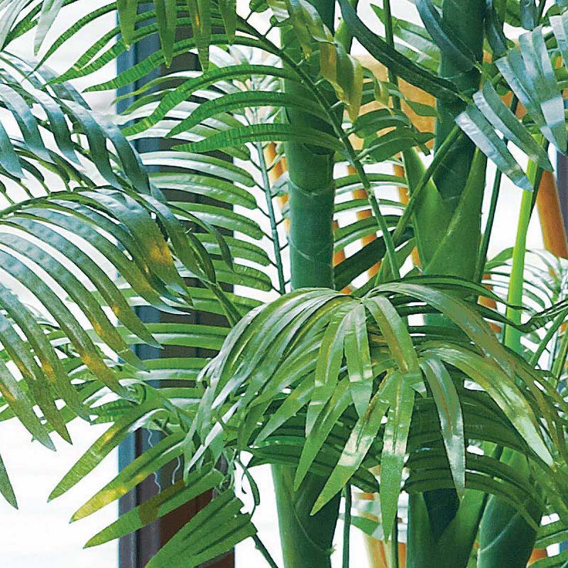 ストア・エキスプレス 人工樹木 アレカヤシ H180cm 61-428-28-1 1台(ご注文単位1台)【直送品】