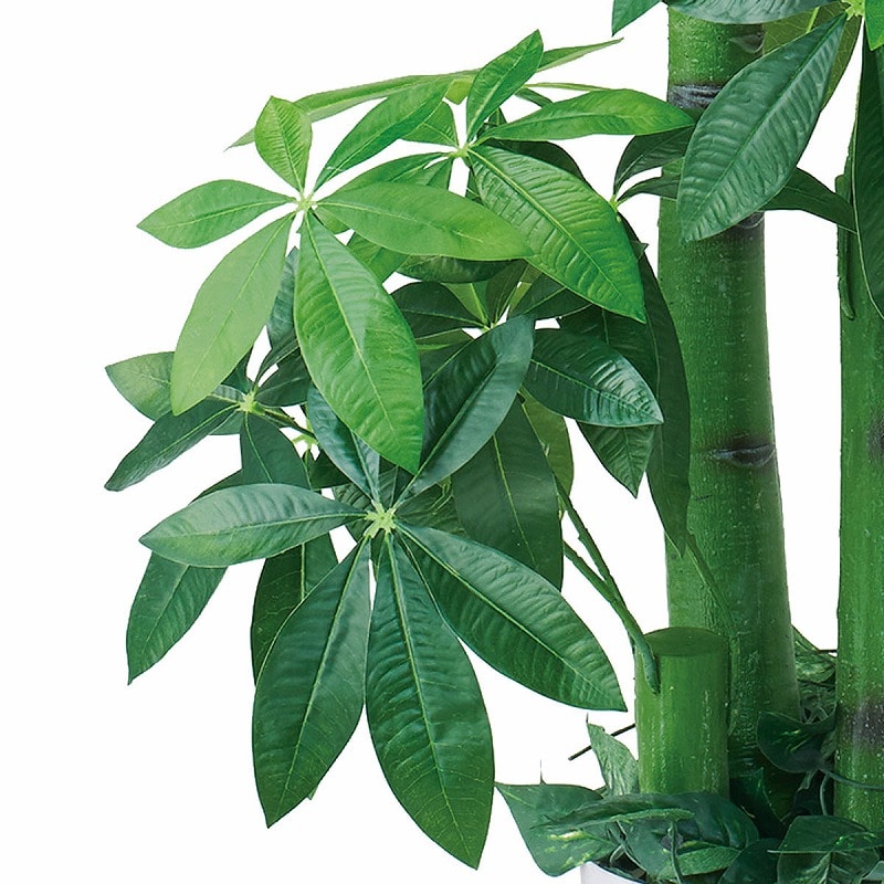 ストア・エキスプレス 人工樹木 パキラ H150cm 61-655-55-1 1台(ご注文単位1台)【直送品】